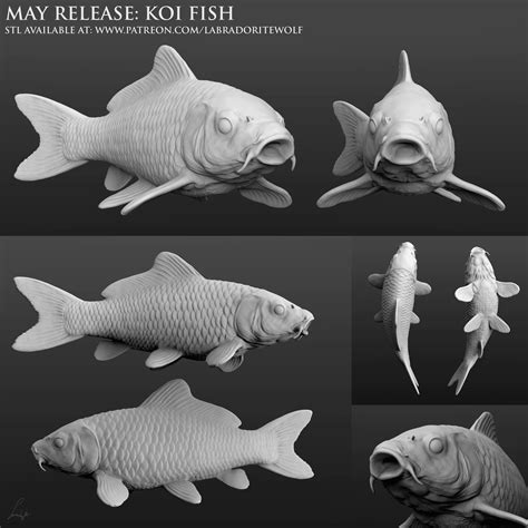 Fish 3D models .